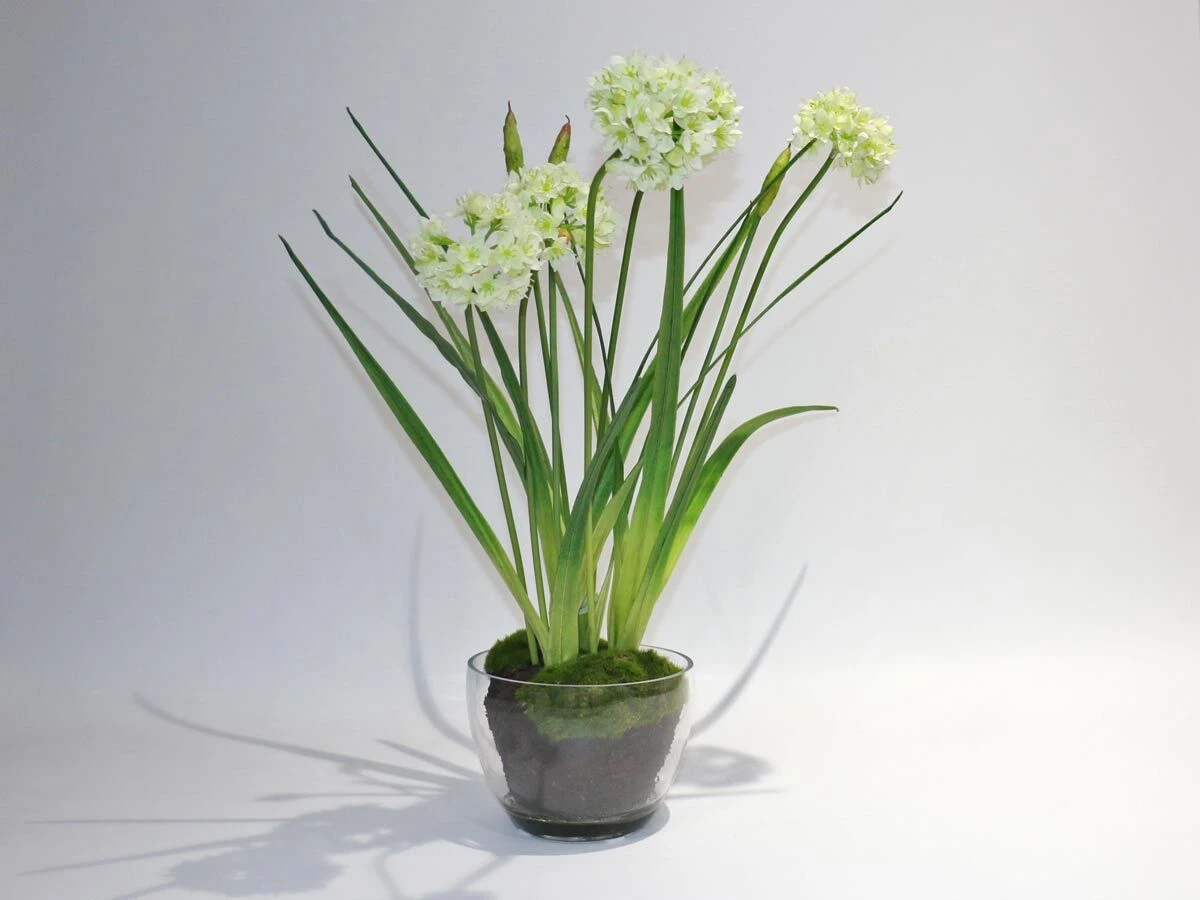 https://vinccihome.heyacdn.com/vincci-home.com/public/data/ecom_collections/6781380b61742.webp
