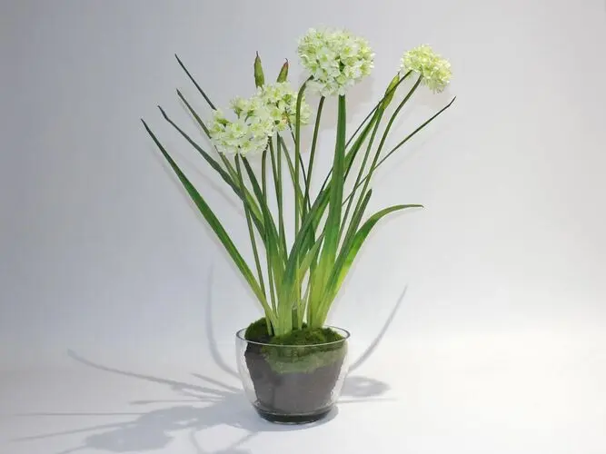 https://vinccihome.heyacdn.com/vincci-home.com/public/data/ecom_collections_500_500/6781380b61742.webp