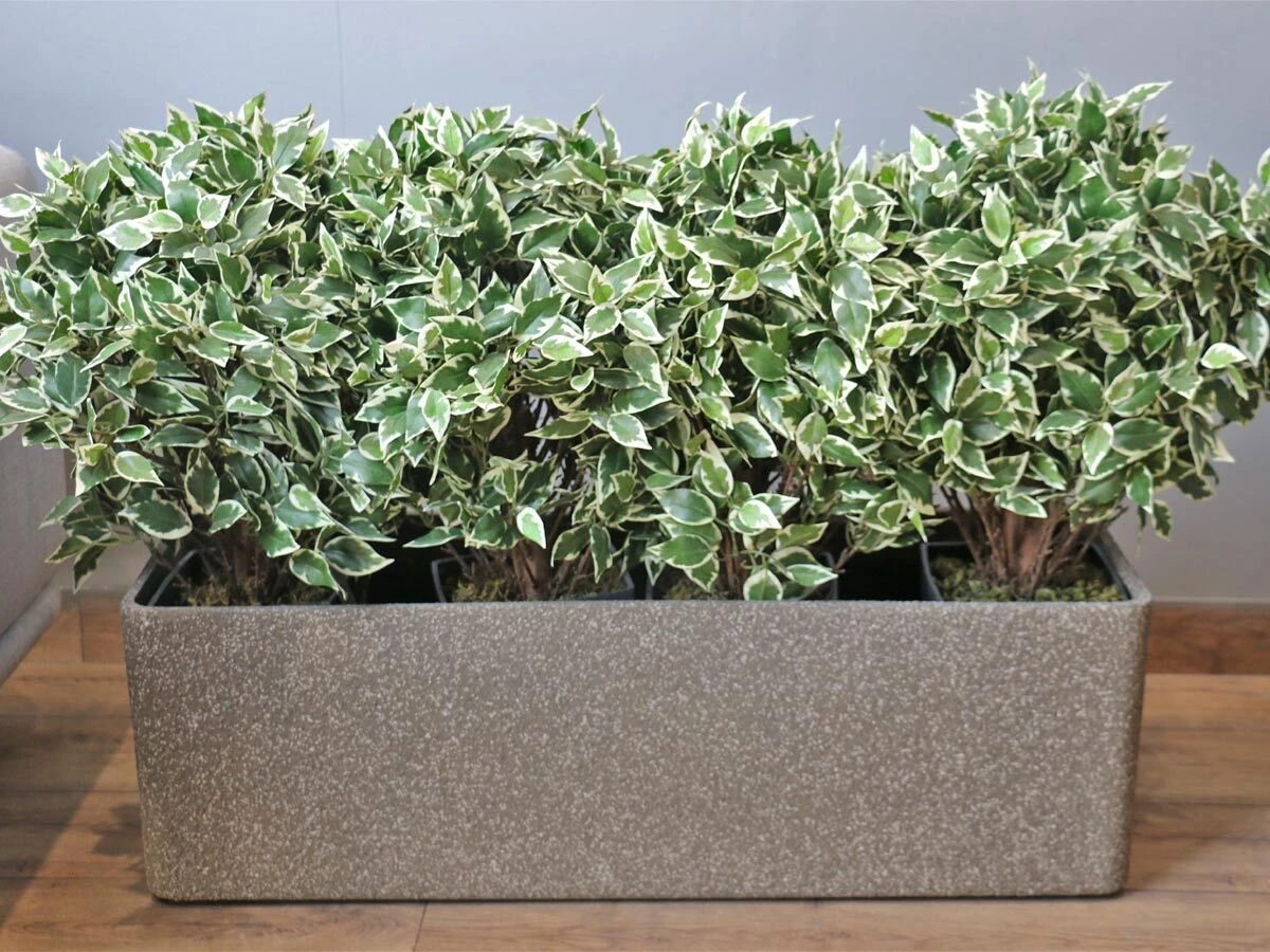 https://vinccihome.heyacdn.com/vincci-home.com/public/data/products/68448429a2cce.webp