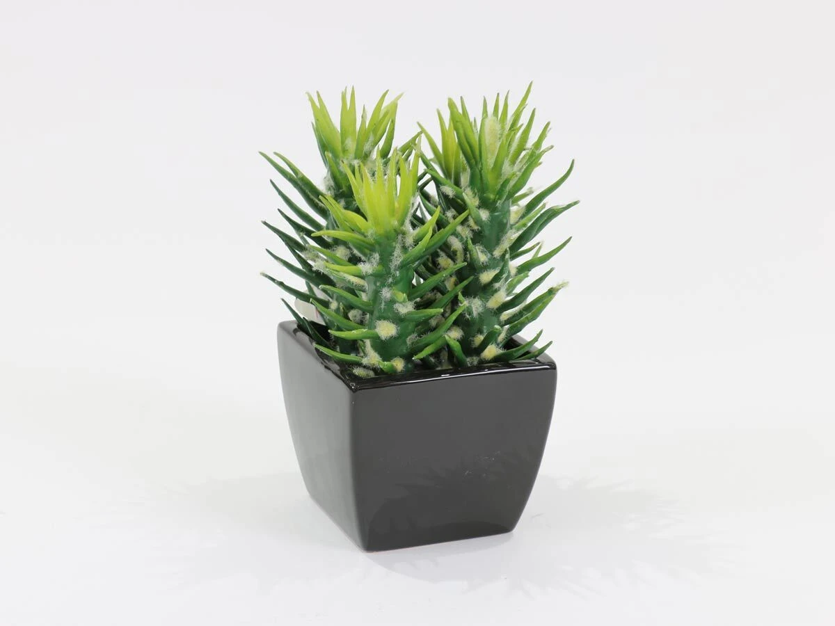https://vinccihome.heyacdn.com/vincci-home.com/public/data/products/68672b3a6277d.webp