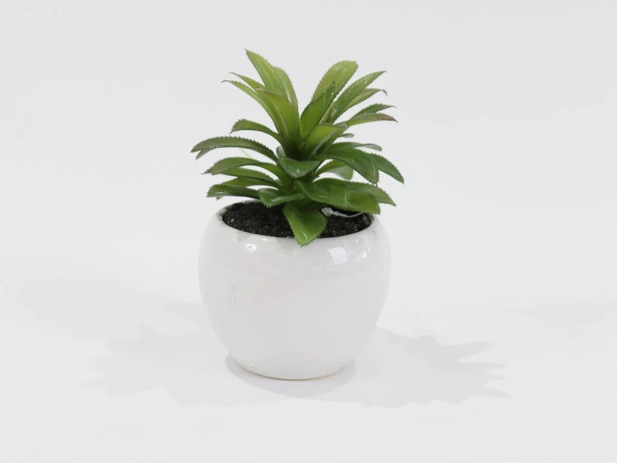 https://vinccihome.heyacdn.com/vincci-home.com/public/data/products/68672c50bb21f.webp