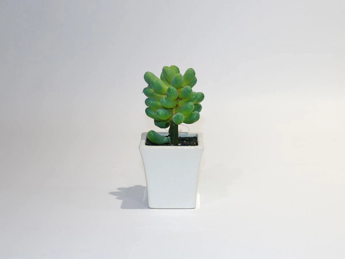 https://vinccihome.heyacdn.com/vincci-home.com/public/data/products/68672cd5c0ea5.webp