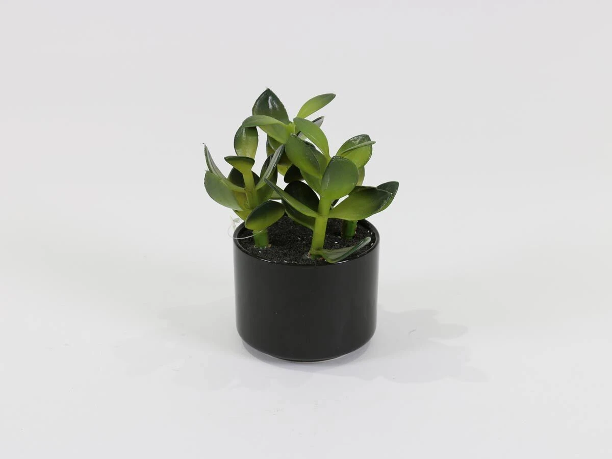 https://vinccihome.heyacdn.com/vincci-home.com/public/data/products/68672d63b8d40.webp