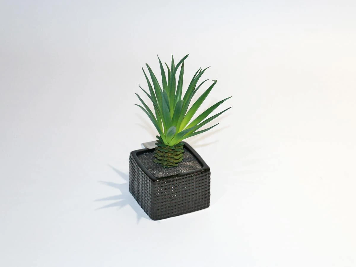 https://vinccihome.heyacdn.com/vincci-home.com/public/data/products/68672dfda74df.webp