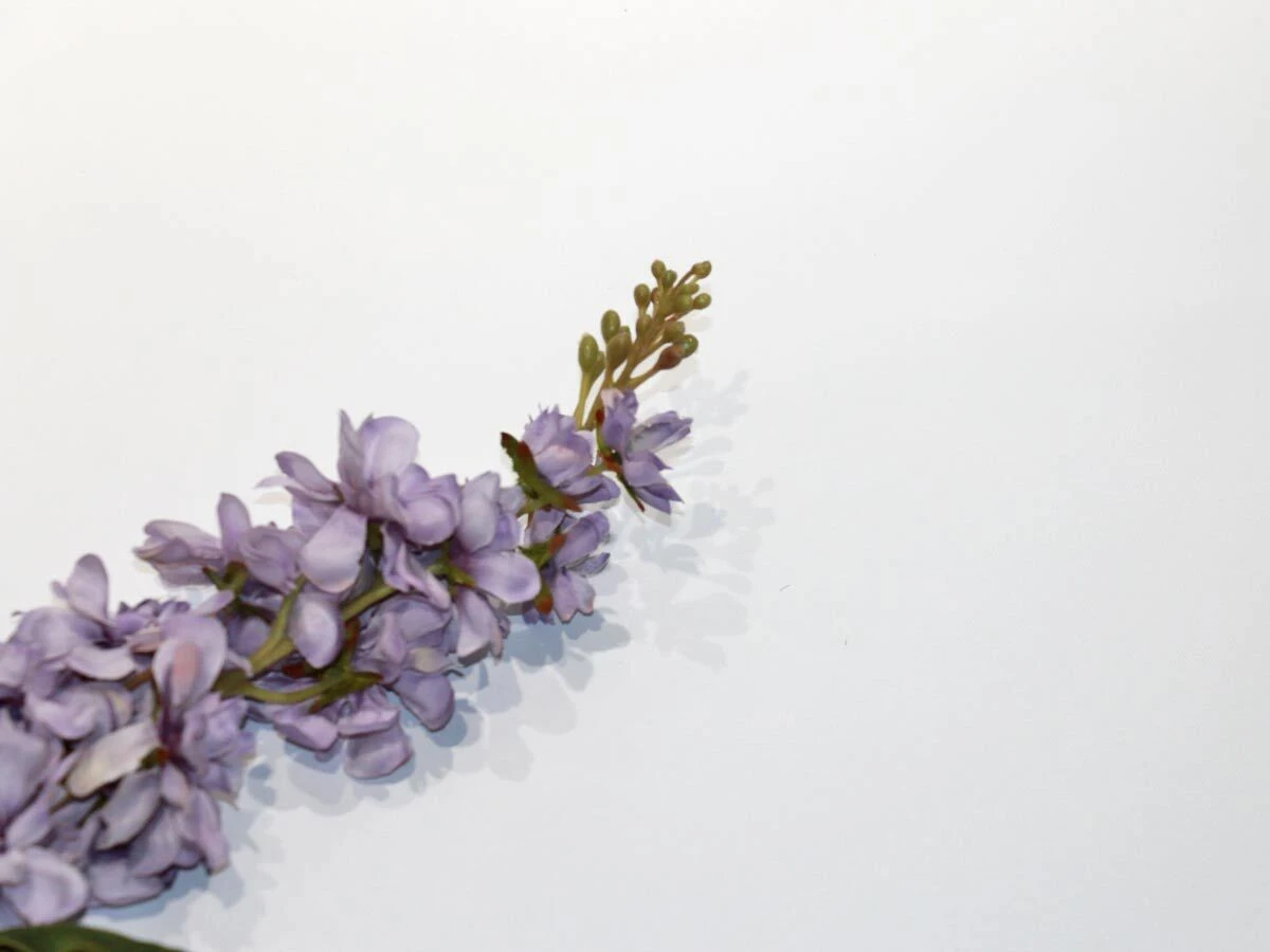 https://vinccihome.heyacdn.com/vincci-home.com/public/data/products/68ffd97d89fb4.webp