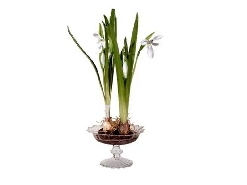 https://vinccihome.heyacdn.com/vincci-home.com/public/data/products_600_600/6831b92e3a30a.webp