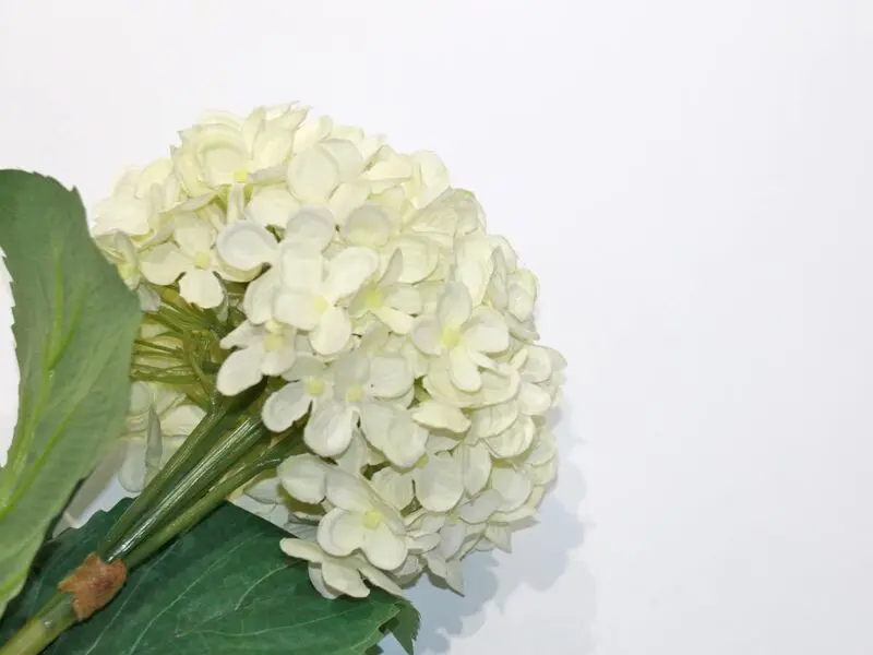 https://vinccihome.heyacdn.com/vincci-home.com/public/data/products_600_600/6831b952847f0.webp