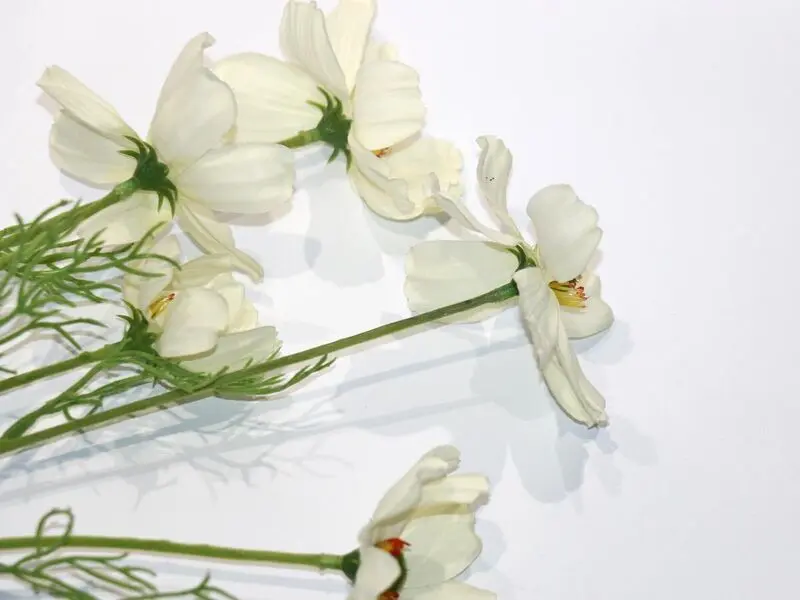 https://vinccihome.heyacdn.com/vincci-home.com/public/data/products_600_600/6831b9dd46268.webp