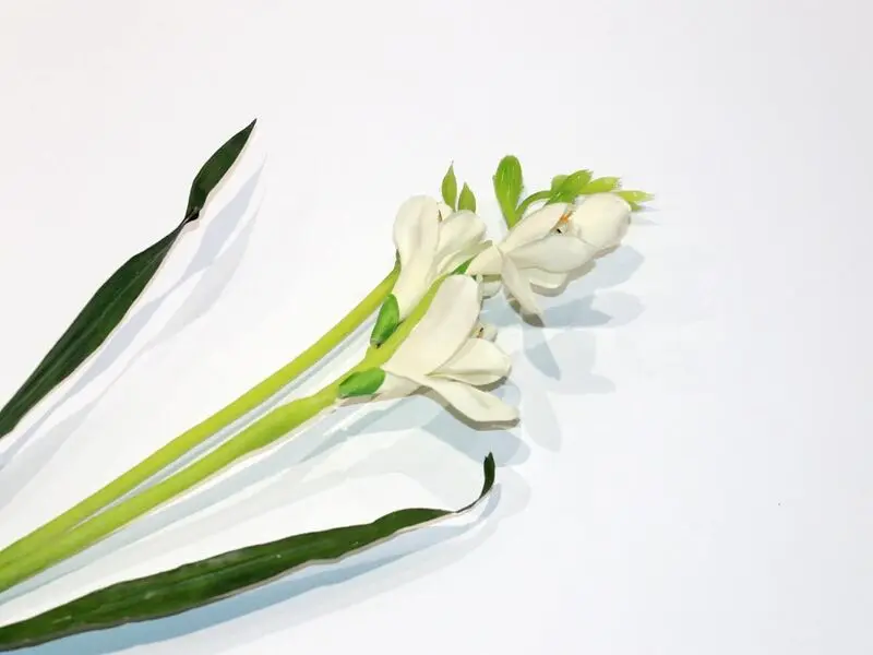 white narcissus 57cm