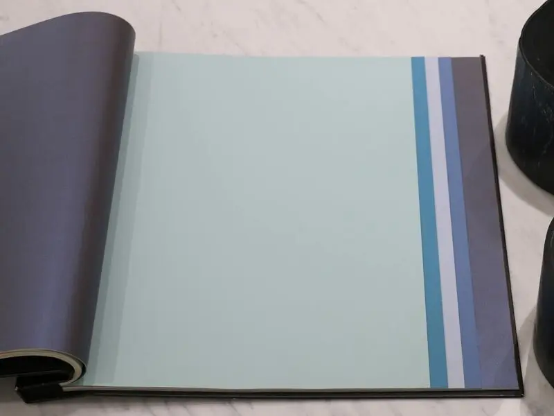 FIONA COLOURS-311033