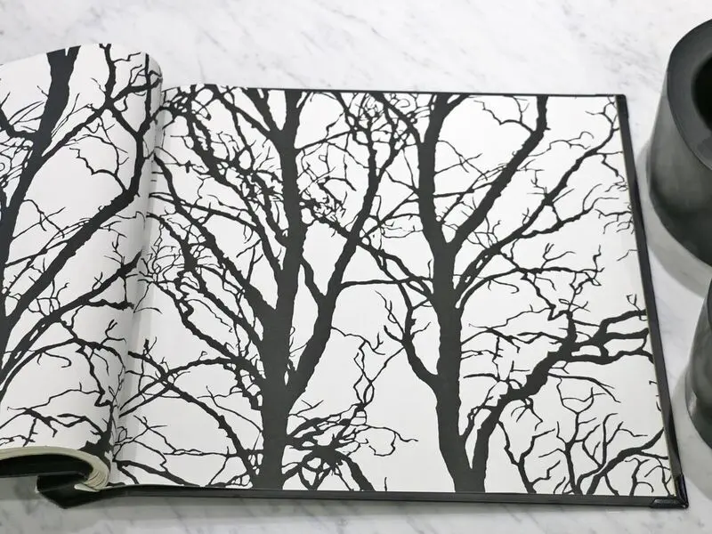 FIONA LIGHT & BRIGHT-351935