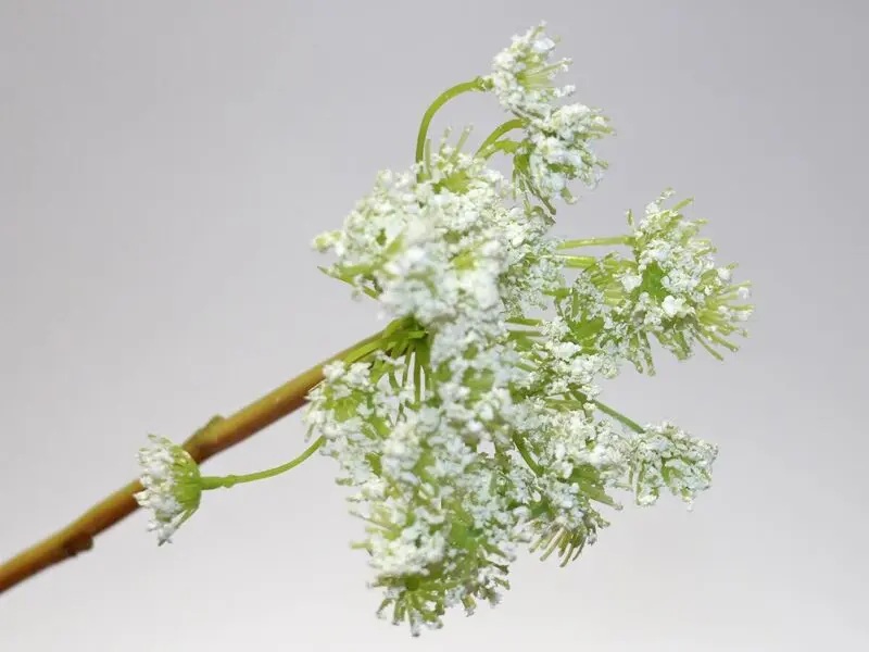 white lace flower 53cm