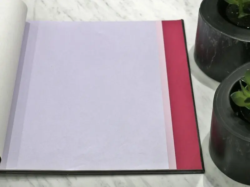 FIONA COLOURS-310005