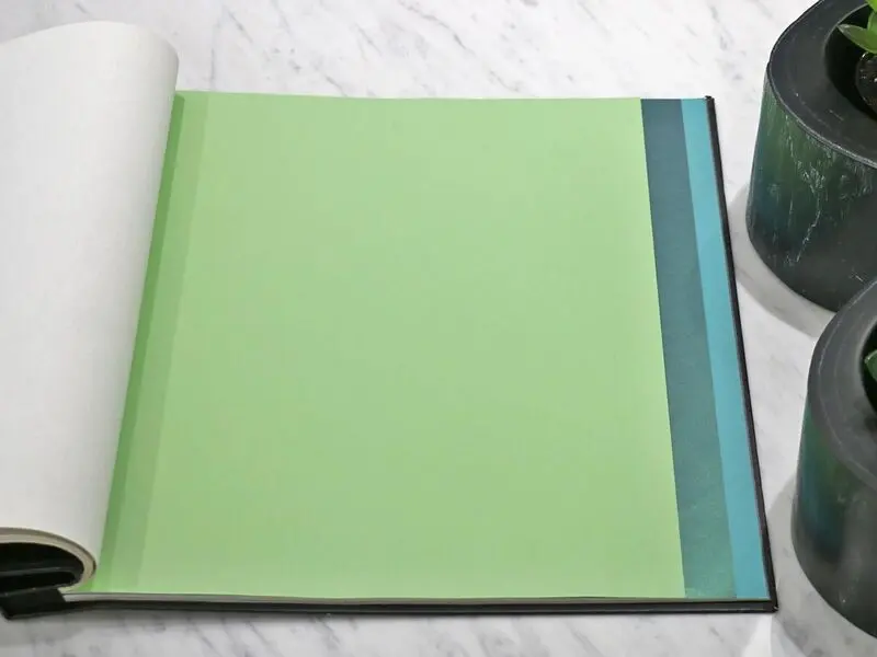 FIONA COLOURS-311031