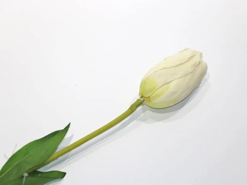 white tulip 74 cm