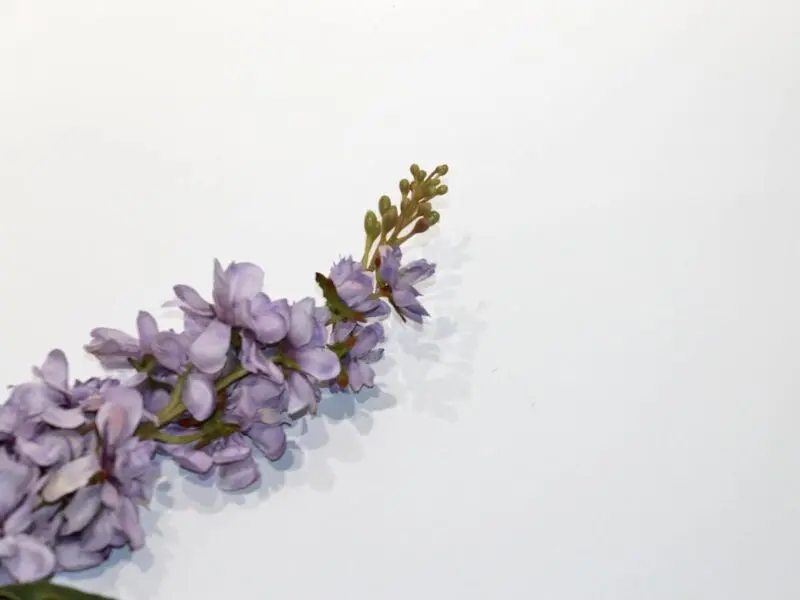 lila stock flower 76cm