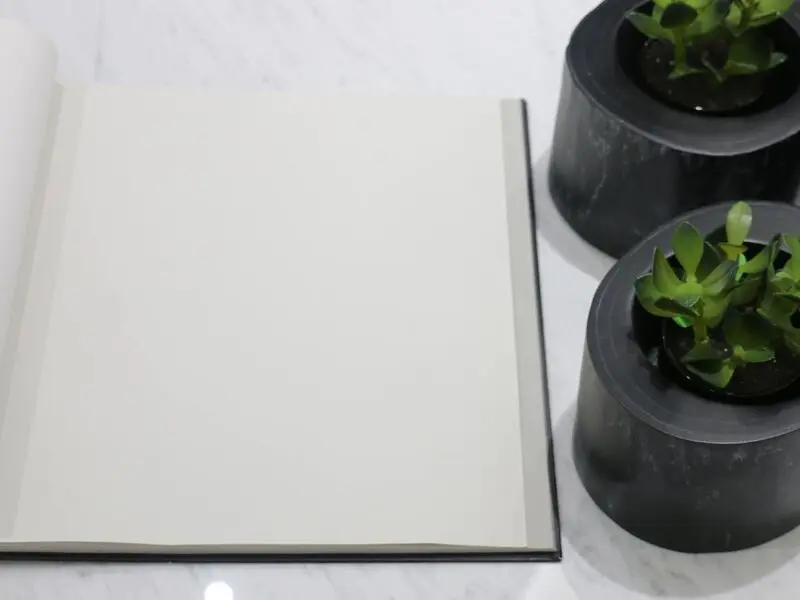 FIONA COLOURS-311013