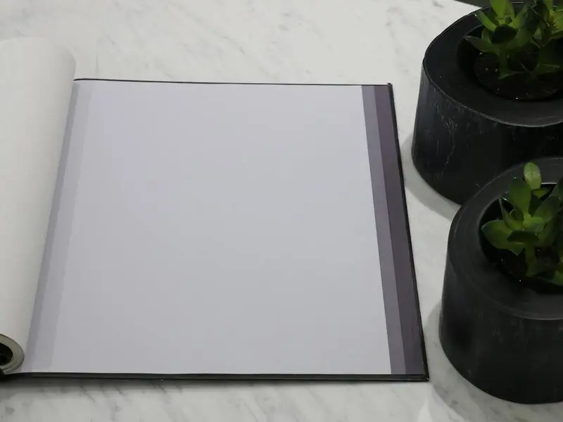 FIONA COLOURS-311002