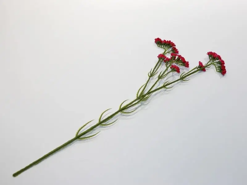 fuschia plant 61cm