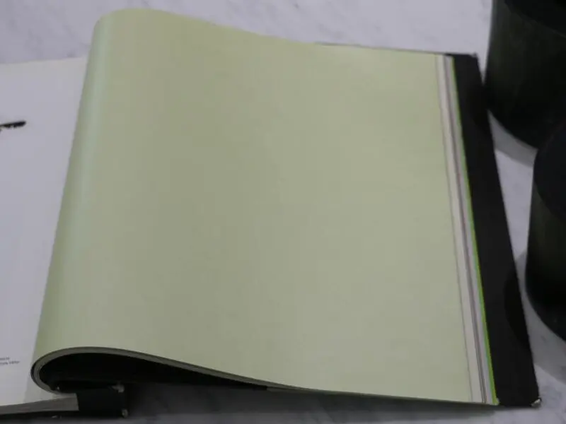 FIONA COLOURS-310008