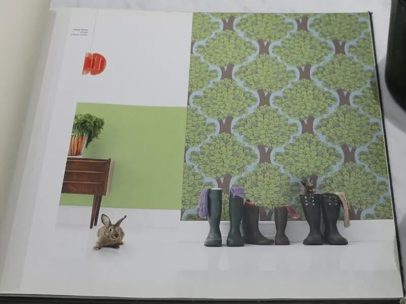 FIONA HAPPY NATURE-347005