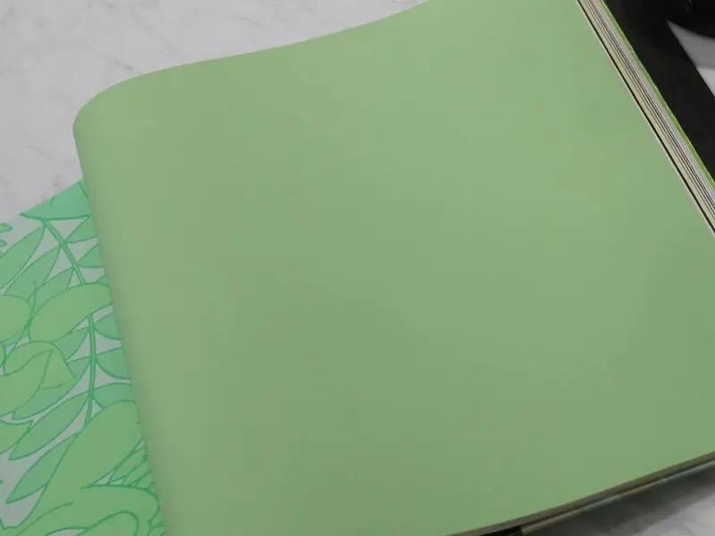 FIONA COLOURS-311031