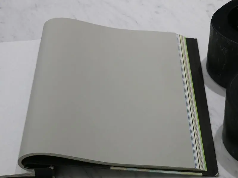 FIONA COLOURS-311016