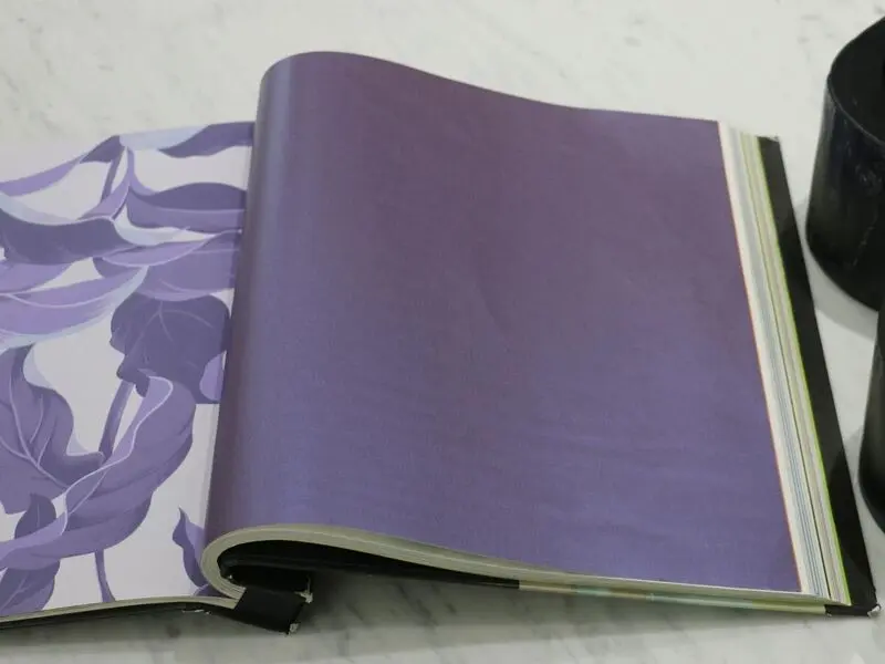 FIONA COLOURS-310003