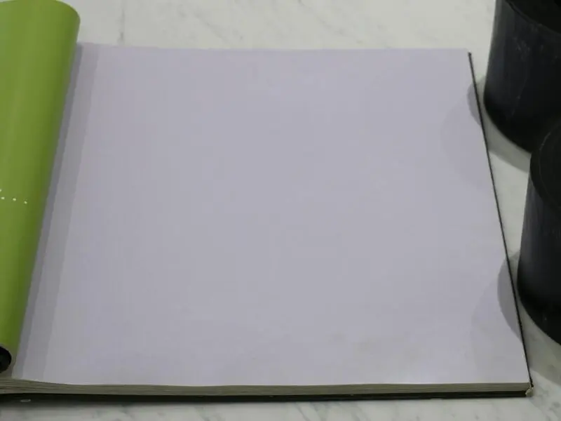 FIONA COLOURS-310005