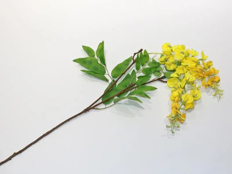 yellow wisteria 95cm