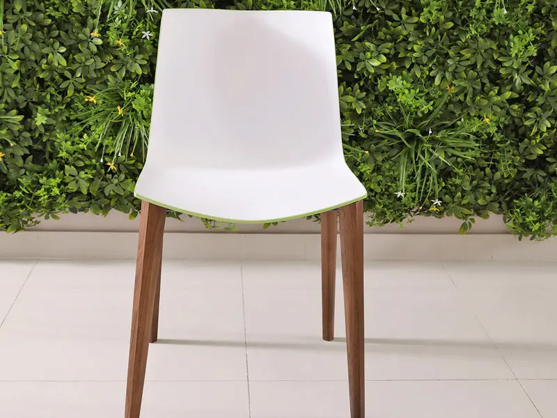 white green chair in dark brown ash legs