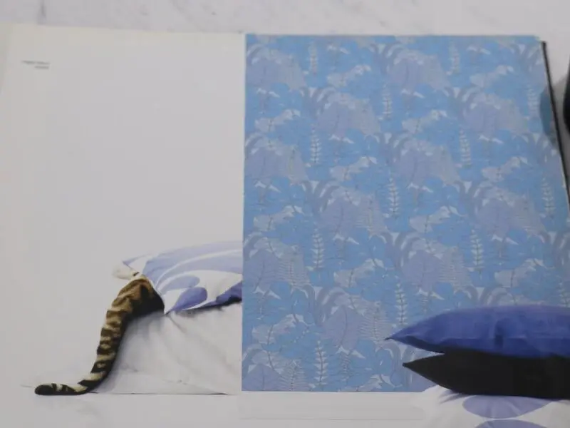 FIONA HAPPY NATURE-343004