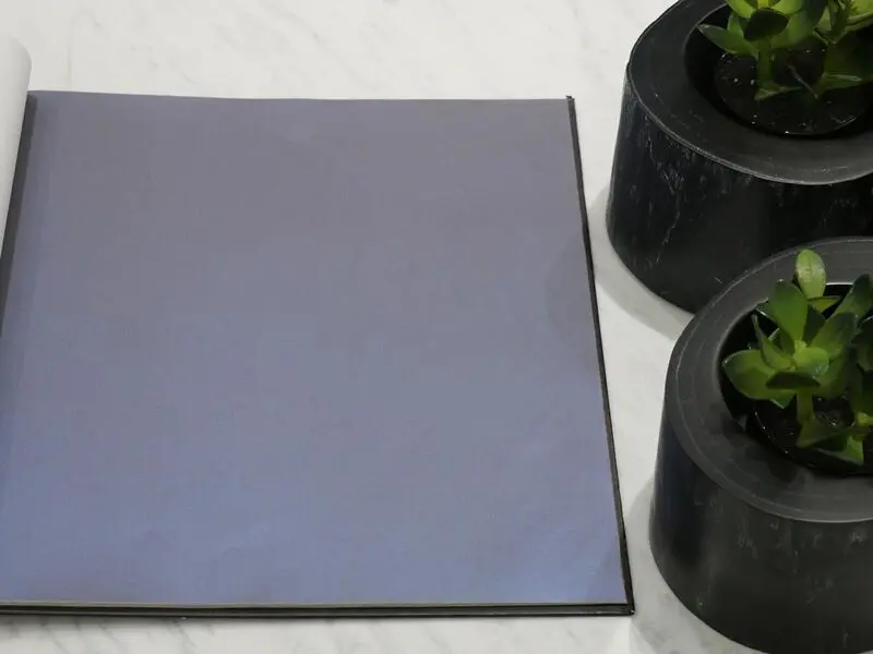 FIONA COLOURS-310011