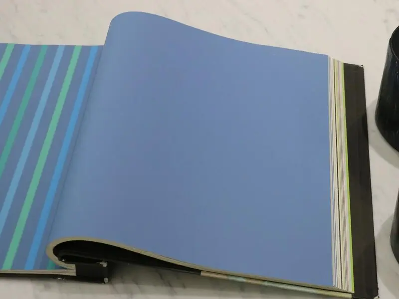 FIONA COLOURS-311036