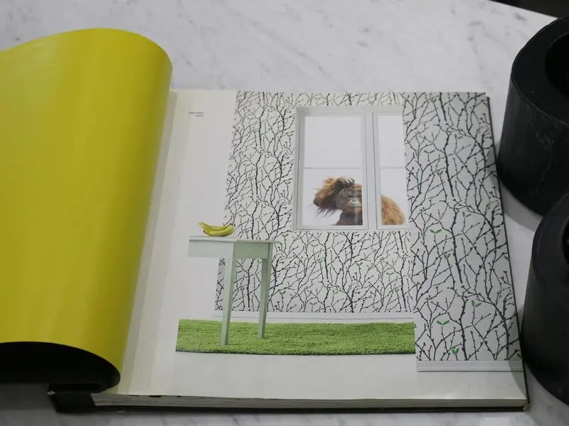 FIONA HAPPY NATURE-348001