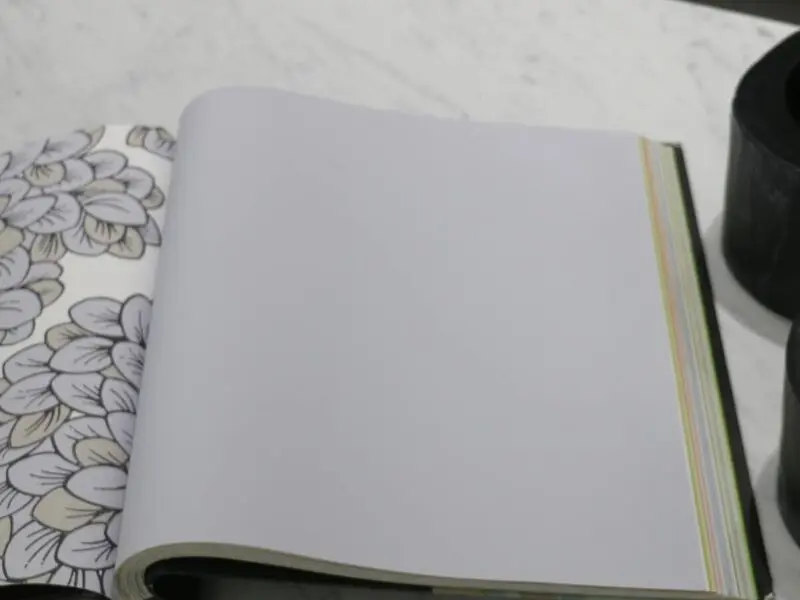 FIONA COLOURS-311002